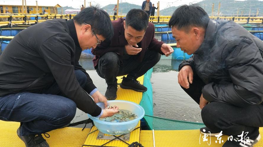 福鼎的"海洋工厂"